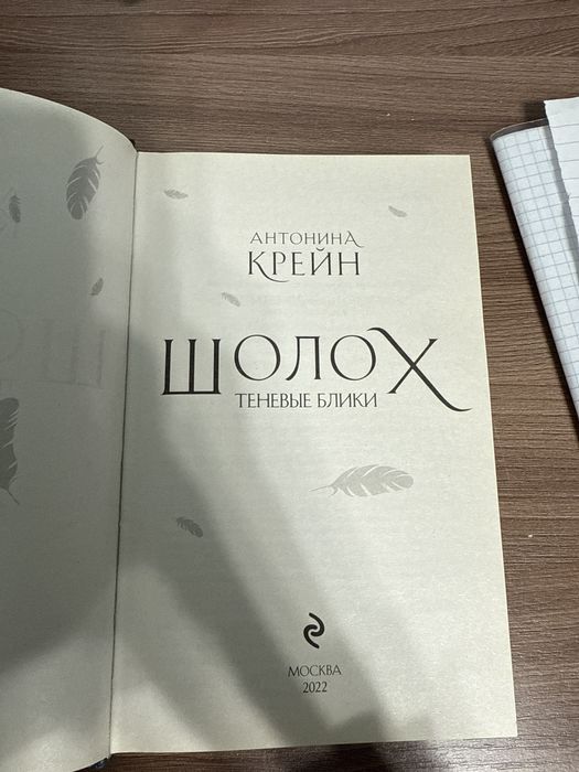 Книга «Шолох,теневые блики»