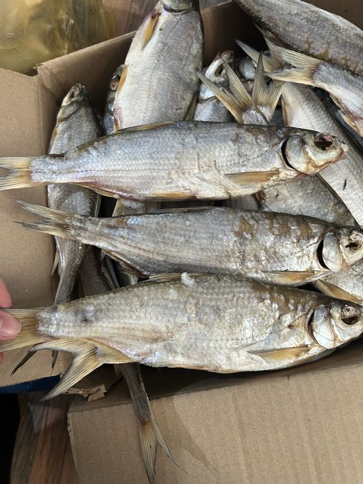 Рыбец бар улкен доставка бар 600 тг