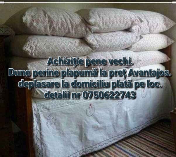 Pene Achizitie zilnca
