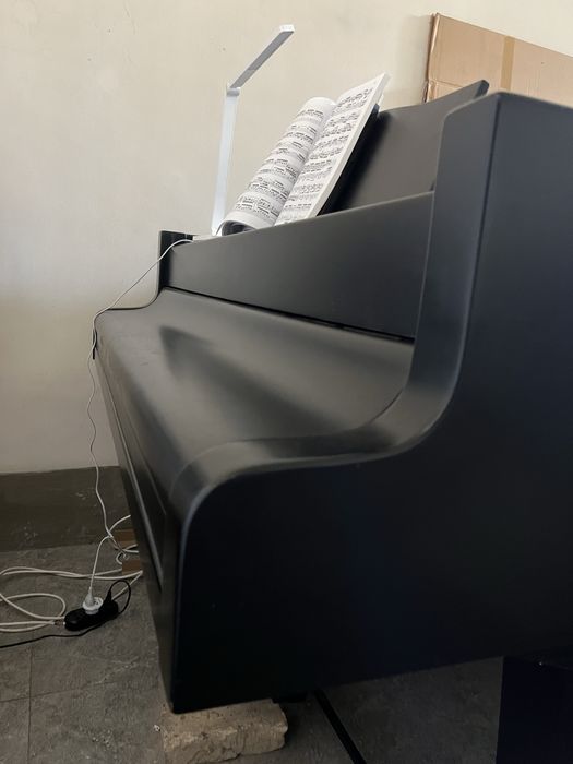 Рояль Эстония СРОЧНО в связи с переездом, саллонный 210см, 440 hertz