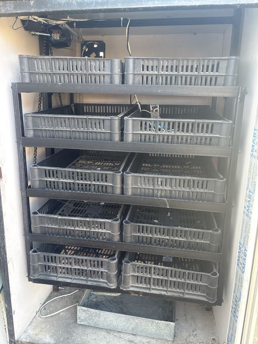 Инкубатор жағдайы өте жақсы