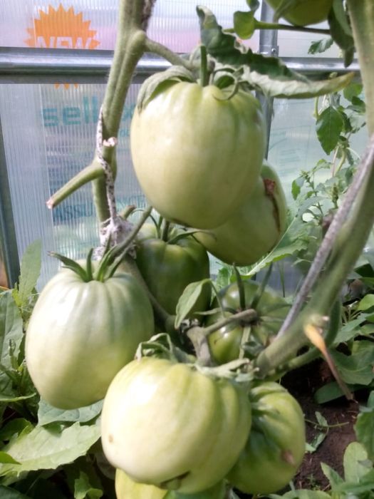Продажа участка!