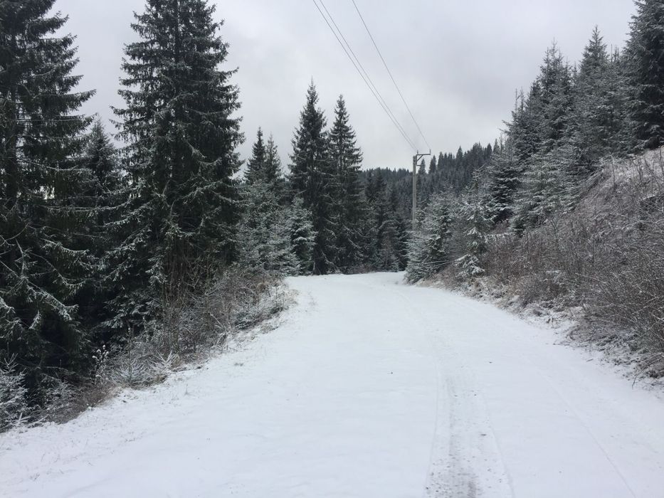 Vand Teren Belis aproape de lac