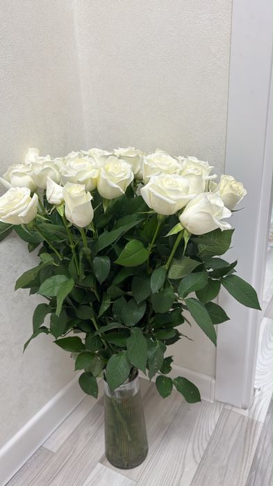 Цветы свежие розы
