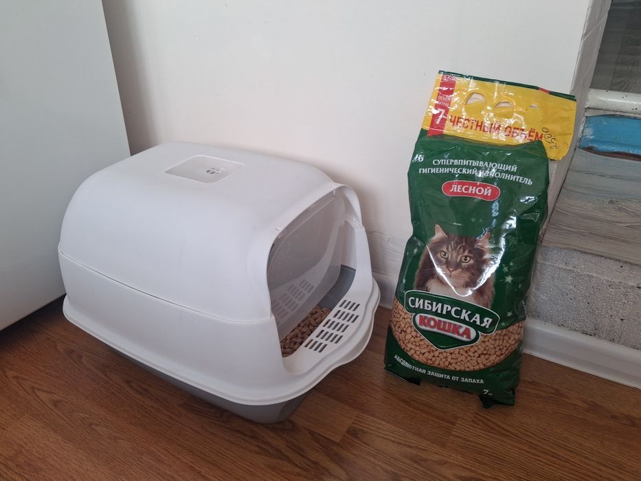 Лоток с наполнителем