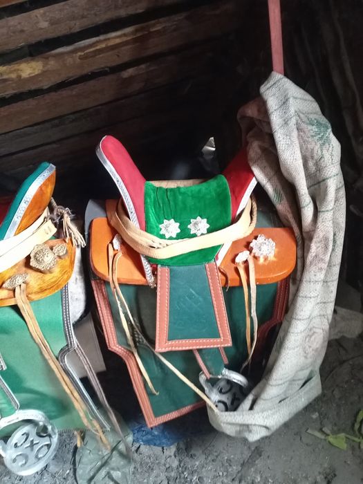 Ертоқым 2 манголядан әкелінген