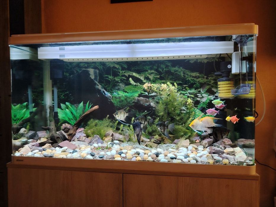 Продаётся аквариум