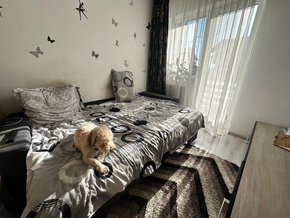 Vând studio !! Sâmpetru