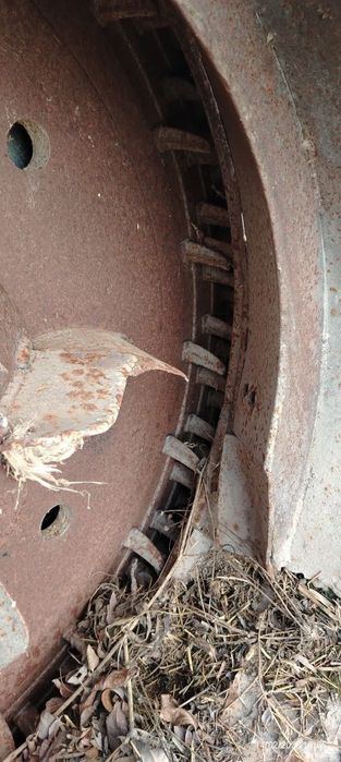 Somon maydalaydigan duku