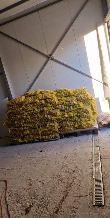 Картофи сорая с ДОСТАВКА!