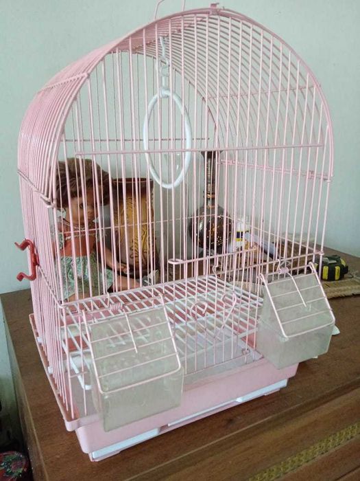 клетка для птичек