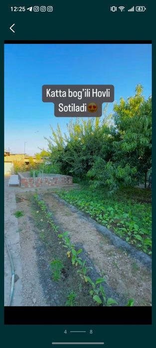 Uchaska sotiladi srochni
