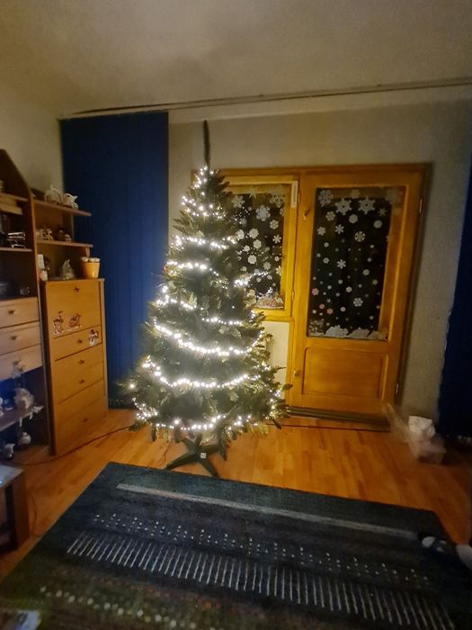 Vând brad de Crăciun