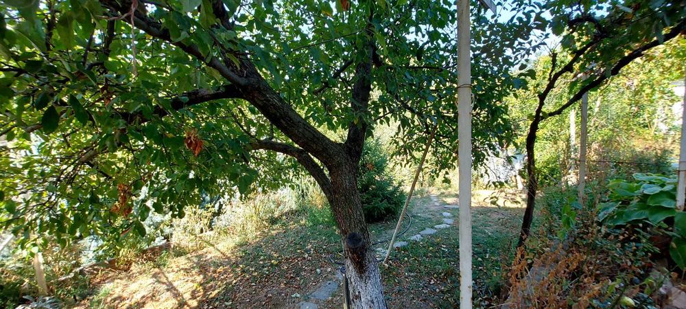 Продава се Къща в Хасково, Куба - 100 кв.м за 1018 €/кв.м - Снимка #11