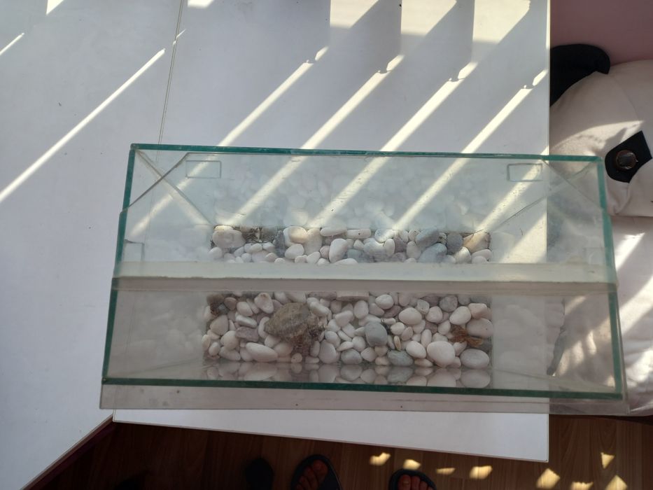 Стъклен аквариум с капак за рибки пълен комплект