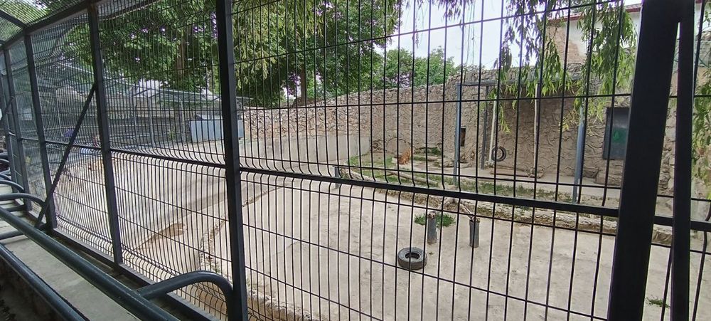 Еврозабор Yevrozabor евросетки Евро сетка еврозабор Eurosetka euro