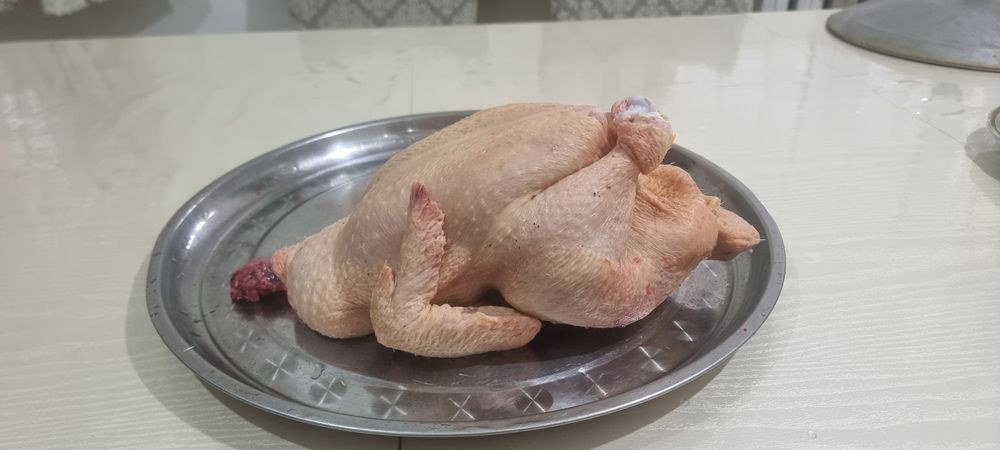 Бройлеры домашние куры