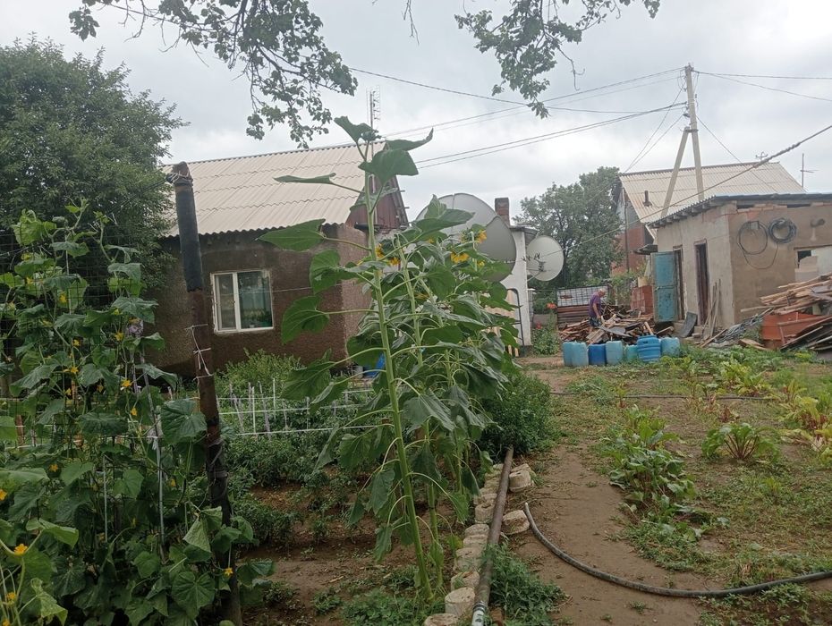 Срочно продам дом