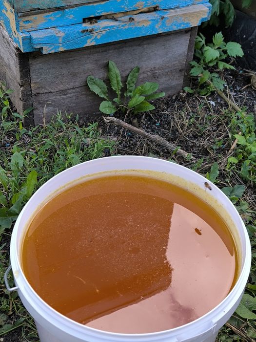 Натуральный мёд прямо с пасеки