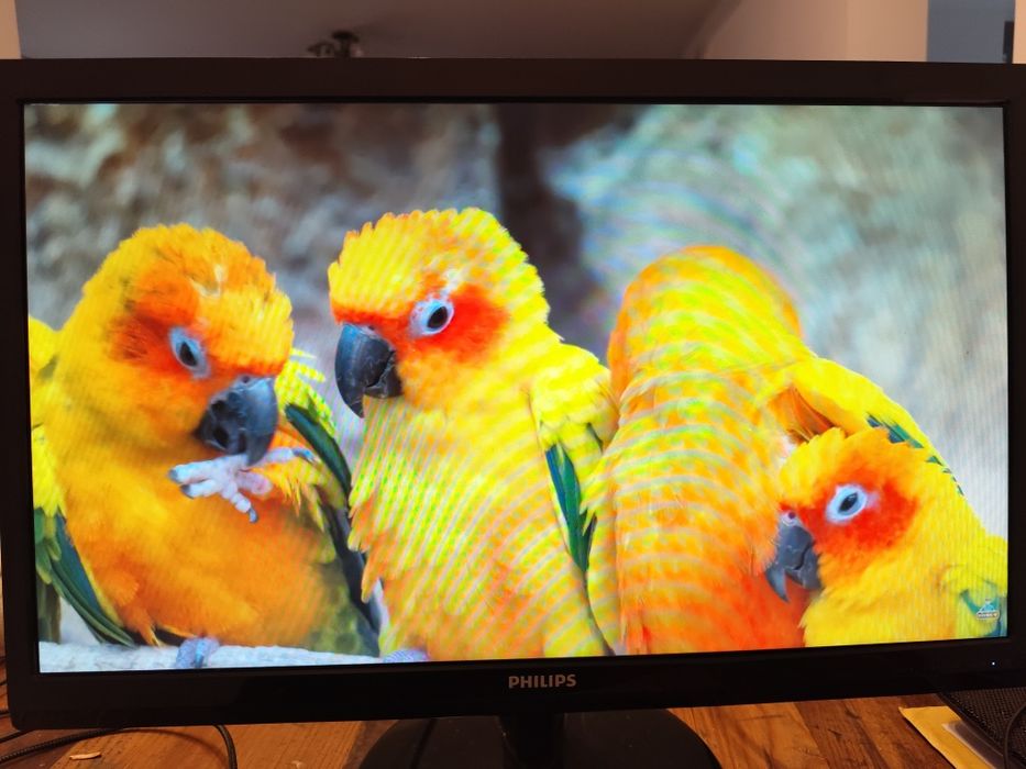 Monitor Philips 24"
