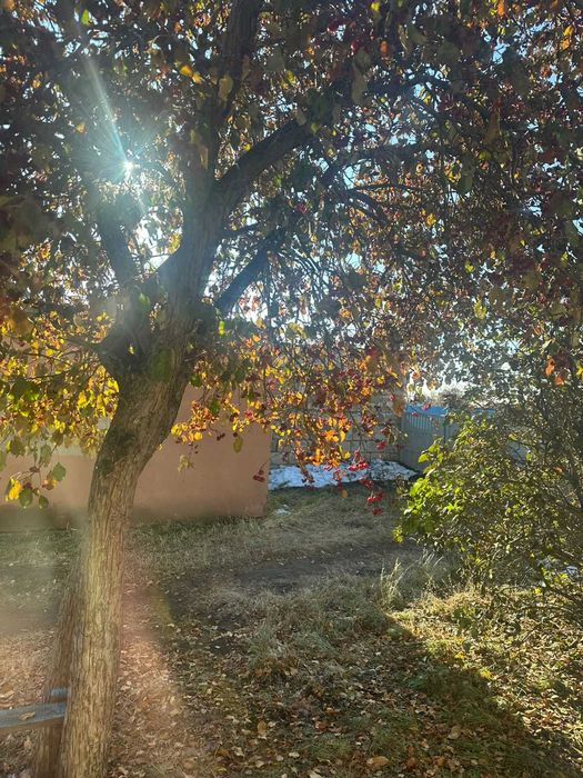 Продам 4-комнатный дом