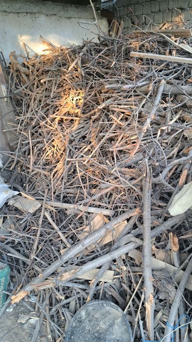 курилишга и утин