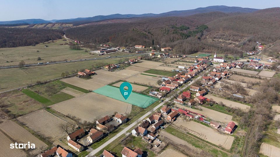 Loc de casă în Odvoș - Conop 3000mp