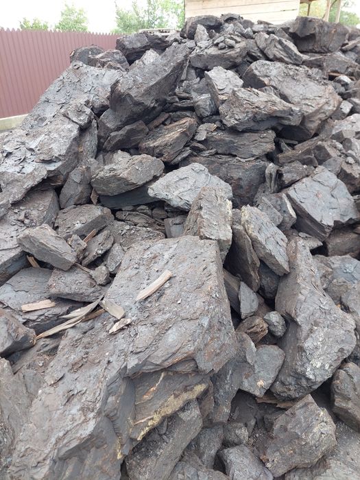 Carbuni lignit sortati