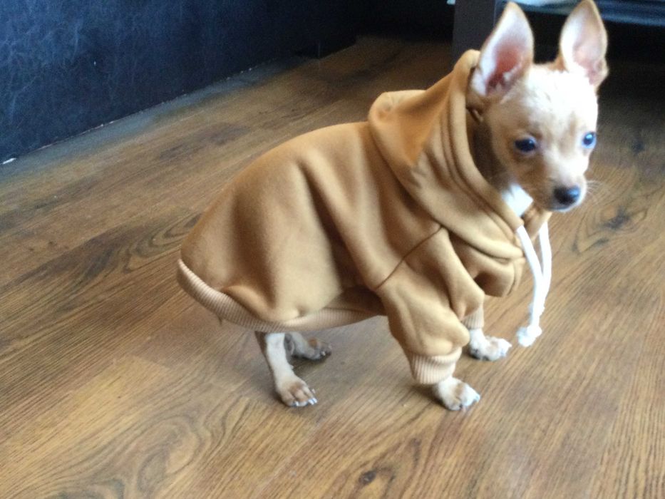 НОВ топъл кафяв суичър за куче от Италия размер S и M