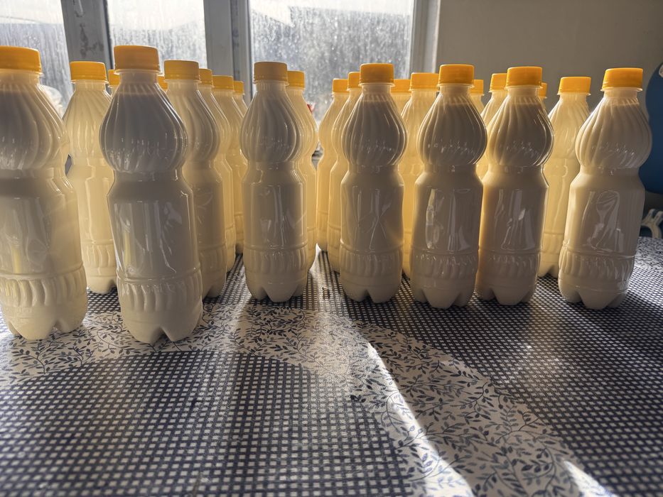 Молочные продукты в Астане