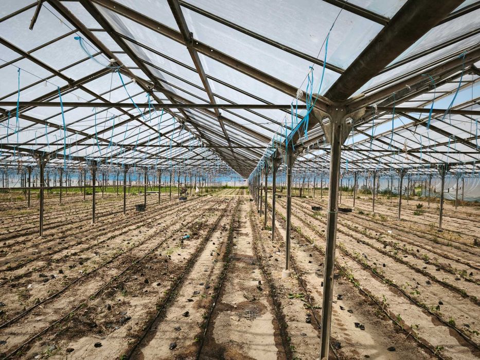 Yu  Продаётся участок 1.11га , Зангиатинский р-н, п.Кахрамон