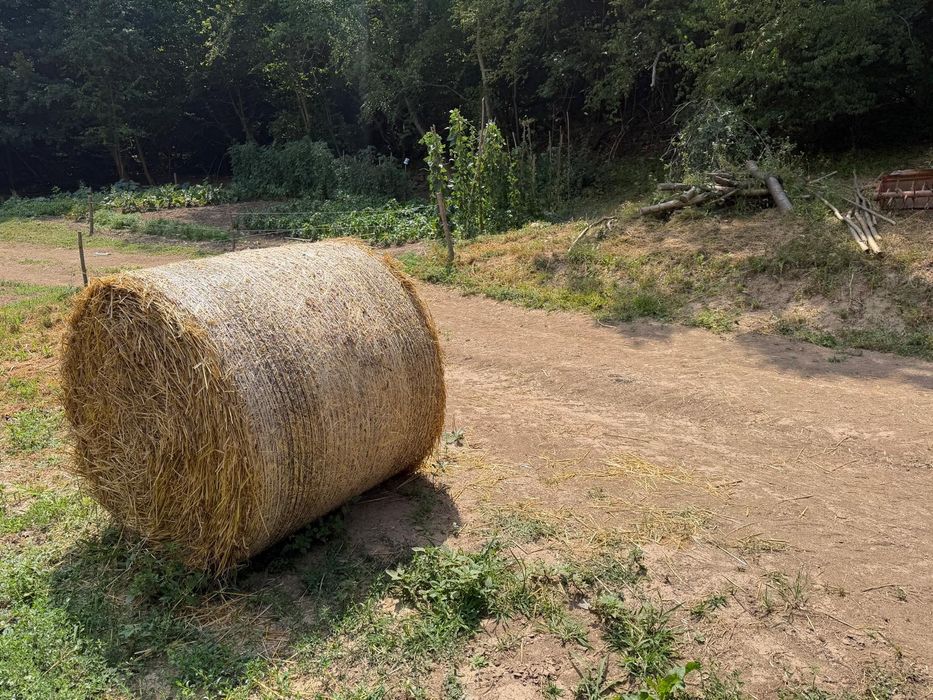 Baloți paie 1.20/1.20