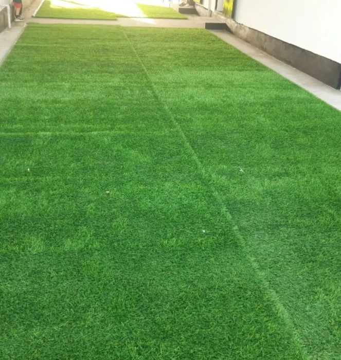 Газон орендаға беріледі