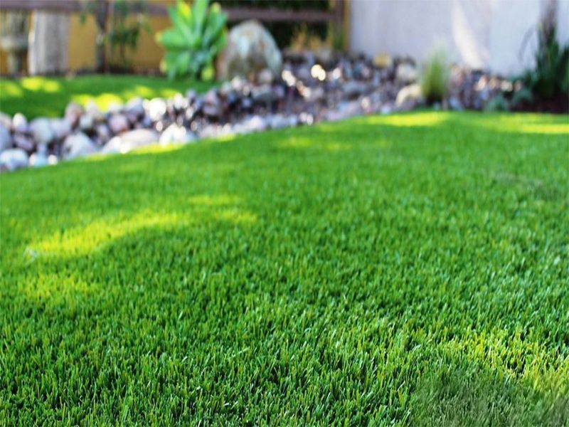 Gazon ekamiz va urugʻ sepamiz! Optom