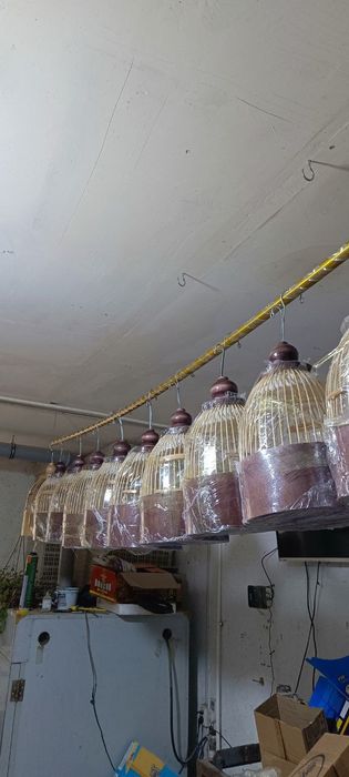 Италия бедана учун кафас italiya bedona uchun qafas тур ковок