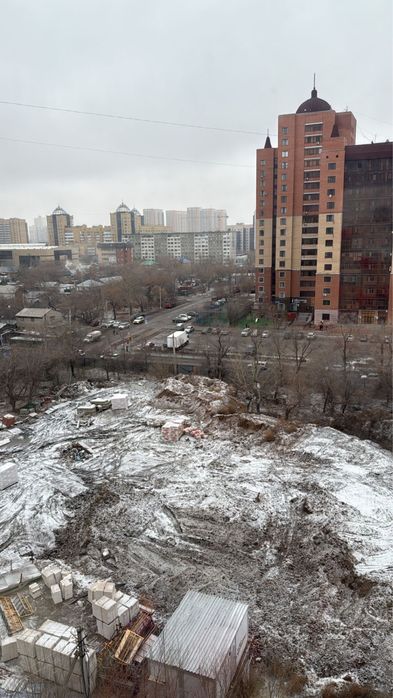 Щенок ищет теплый дом