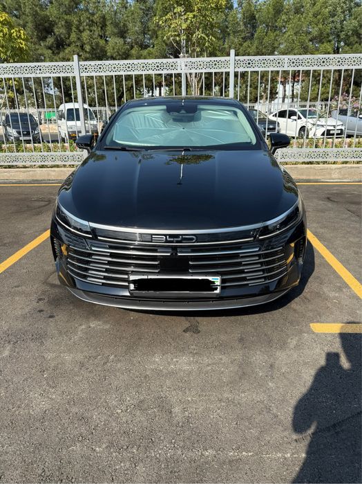 BYD Chazor Flagship 120km FULL