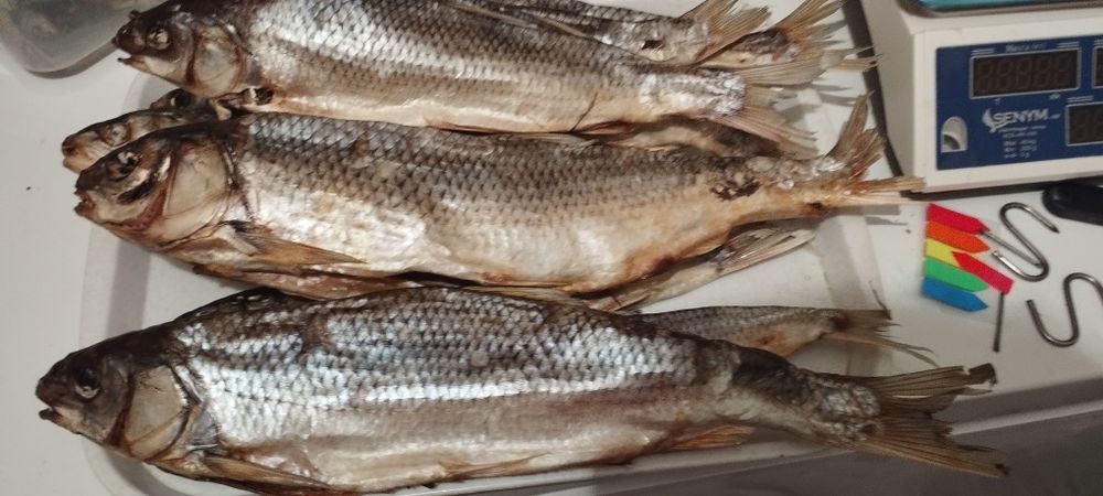 Рыба вяленая Кутум