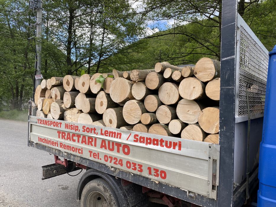 Lemn de foc fag   6,7.  7 steri