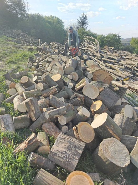 Lemn de foc esență tare