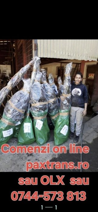 Baloti fan 250-500 Rotunzu 40 Fan or Lucerna.La TIR>RO Ferma chirie

Baloti se aduc pe garantie.
Uferim si cerem seriozitate. 
Nu ducem la BUCATA

Doa