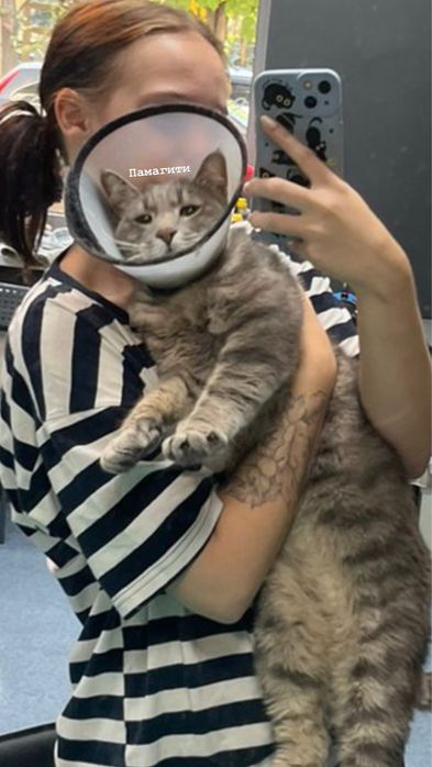Зоо няня для животных
