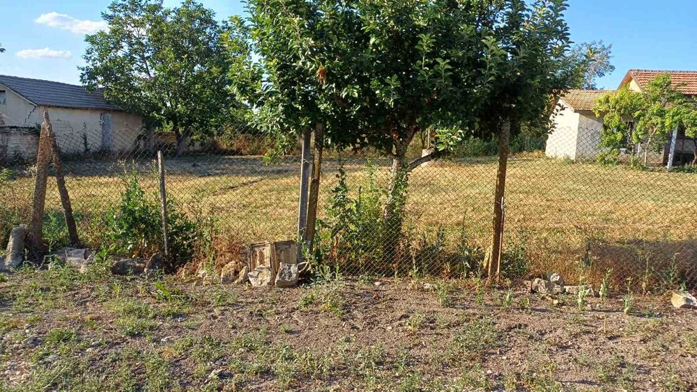 Продава се Къща в Плиска - 1600 кв.м за 26 €/кв.м - Снимка #7