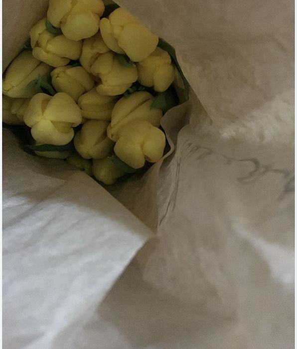 Тюльпан открыть предзаказ 2026