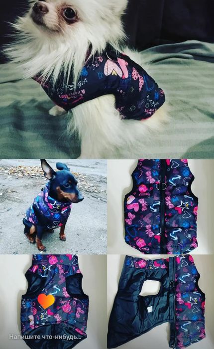 Одежда для собак и кошек