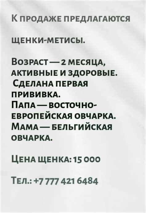 Предлагаются друзья для вашего дома