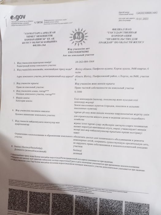 Злдд тигр прогюб