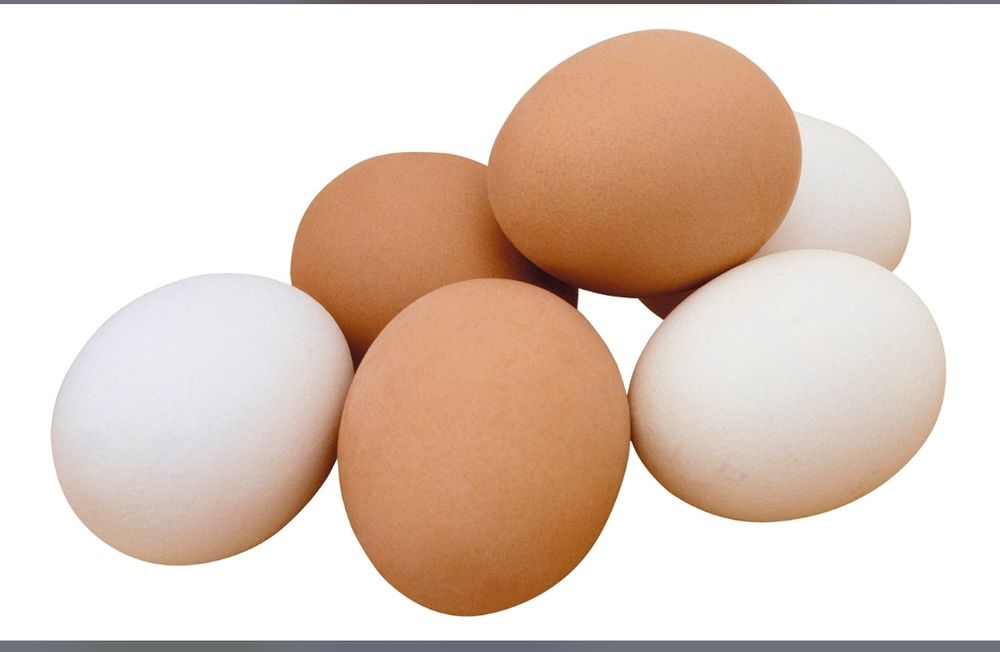 Продам домашние яйца