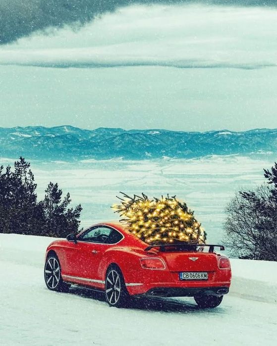 Кола за бал / сватба