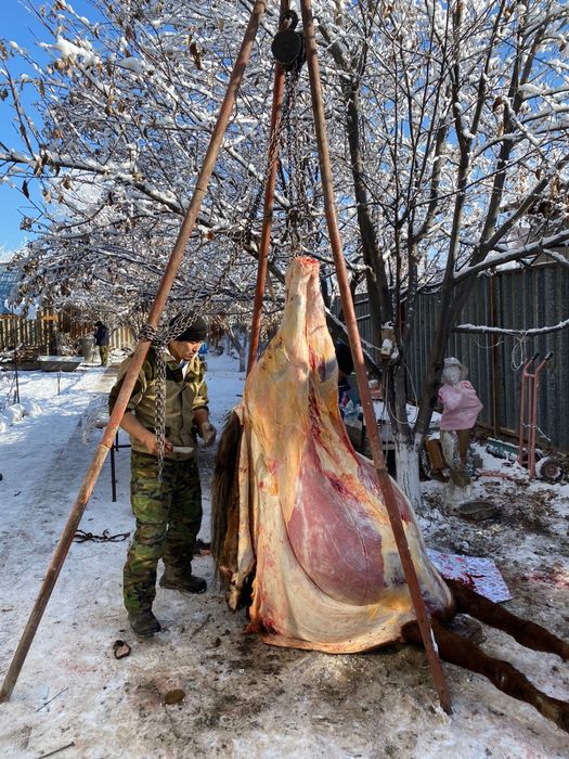 Касапшы, мясник , халлал